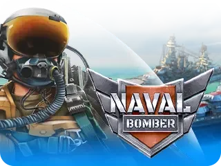 Naval Bomber