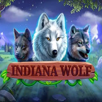 Indiana Wolf